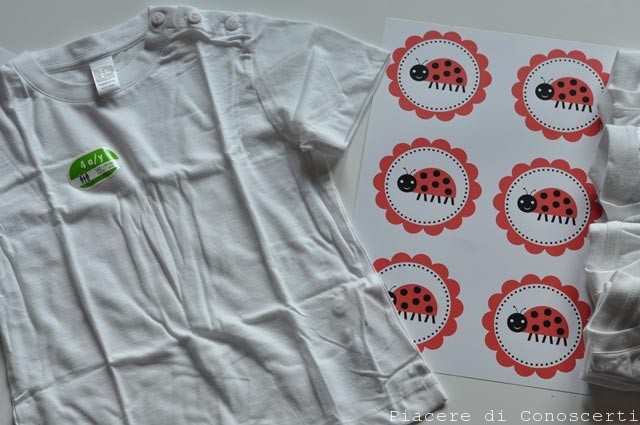 favors coccinella