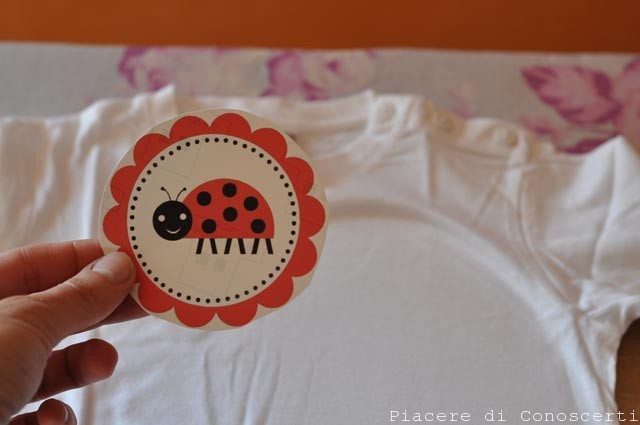 coccinella maglia