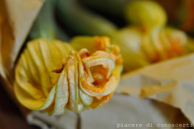 congelare zucchine congelare zucchine